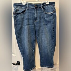 Judy Blue Skinny Capri, Size 20W